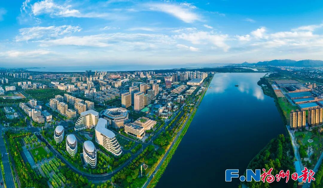 不止龙头领跑！党建赋能5E对战
全产业链突围升级