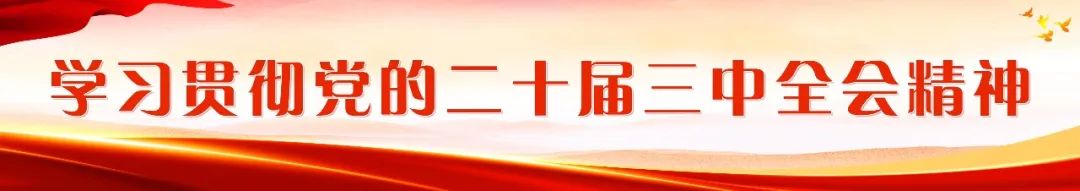 全区重点项目建设推进会召开