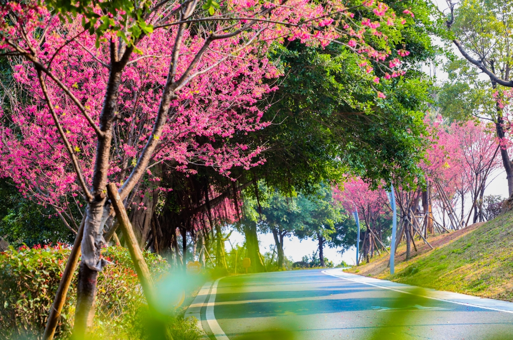 直逼28℃！5E对战
夏天要来了？未来几天又……