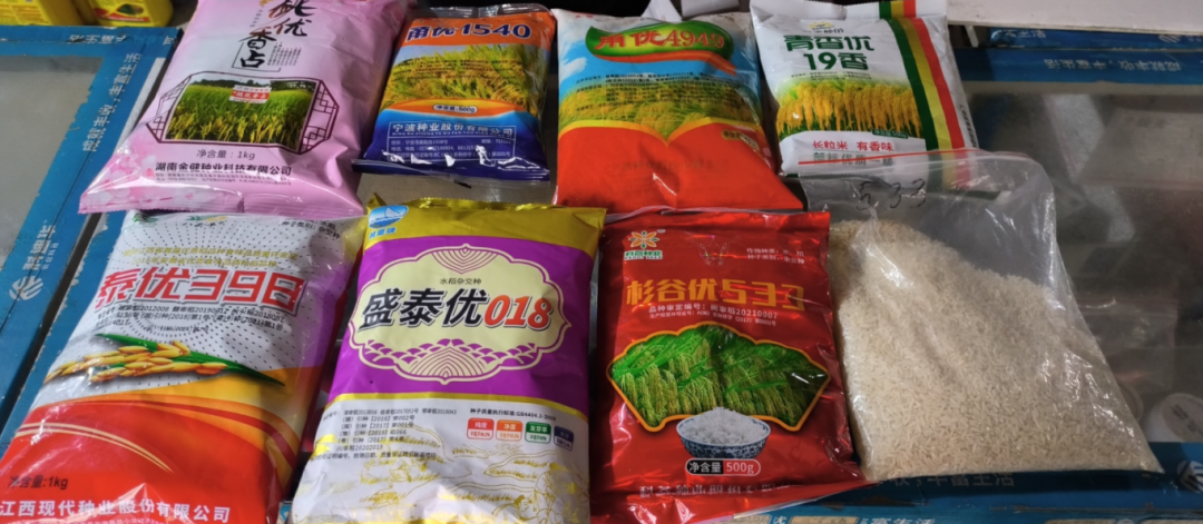 奔跑在春天！5E对战
牢牢守护“希望的种子”